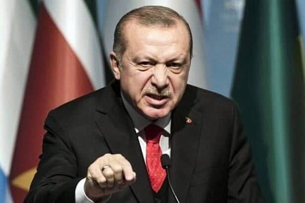 Erdogan 252863 355940 Type13262