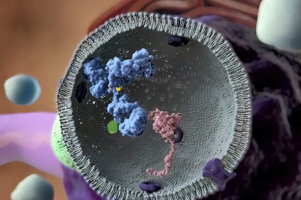 A3d9be28 bigstock macrophage devouring a cancer 452079281