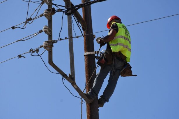 Kolona larisa atixima