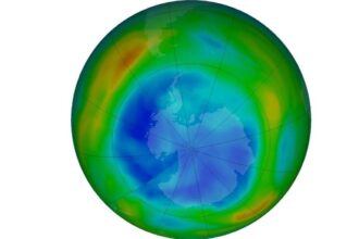 Ozone map