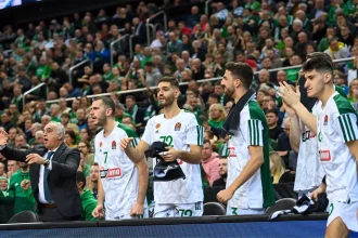 Paobc 1536x1045