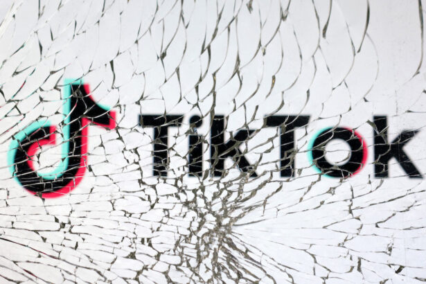 2023 01 25t183953z 1217955301 rc2sxy91h9pt rtrmadp 3 tik tok outages 960x600