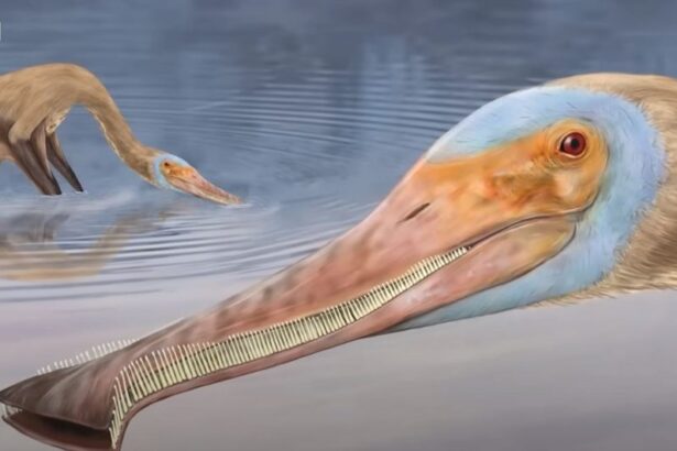 Gkhgi 1024x530
