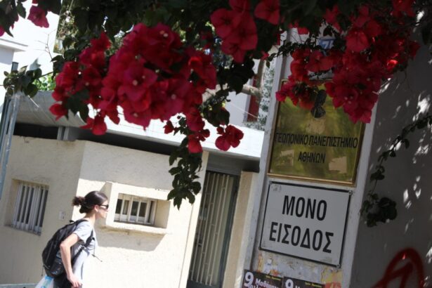 EV SD GEOPONIKO LISTIA 100520176 1024x682