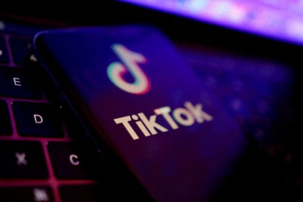 File photo: illustration shows tiktok app logo
