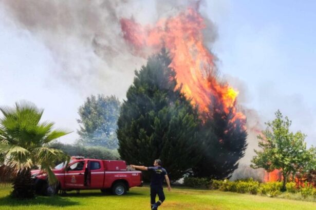 φωτια αυγειο 768x553