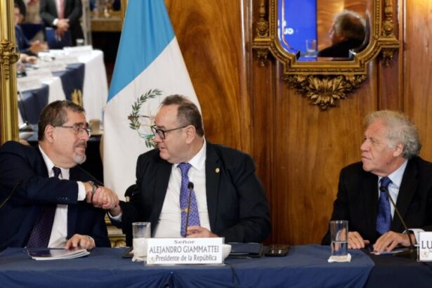 Guatemala election transition giammattei arevalo