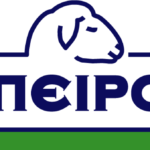 Logo ΗΠΕΙΡΟΣ