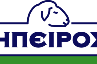 Logo ΗΠΕΙΡΟΣ