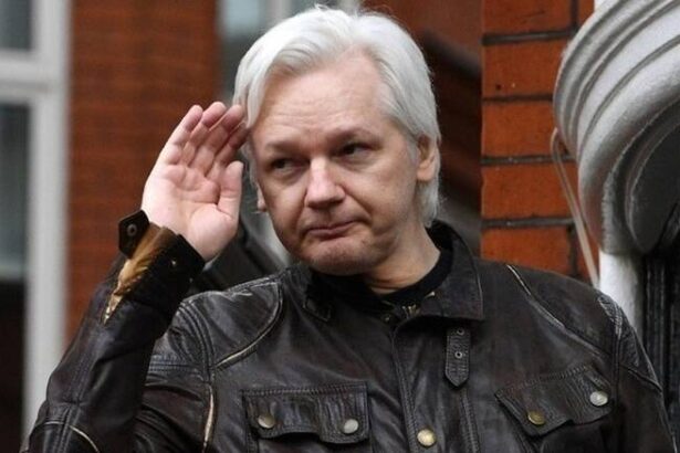 W20 62439w0564510w0385427w17131212assange