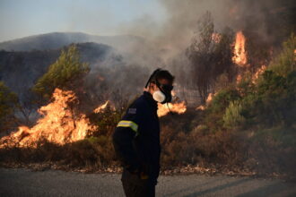 [371274] ΠΥΡΚΑΓΙΑ ΣΤΗ ΒΟΡΕΙΟΑΝΑΤΟΛΙΚΗ ΑΤΤΙΚΗ (ΜΙΧΑΛΗΣ ΚΑΡΑΓΙΑΝΝΗΣ / Eurokinissi)