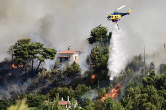 [371271] ΠΥΡΚΑΓΙΑ ΣΤΟ ΒΑΡΝΑΒΑ ΑΤΤΙΚΗΣ (ΜΙΧΑΛΗΣ ΚΑΡΑΓΙΑΝΝΗΣ / Eurokinissi)