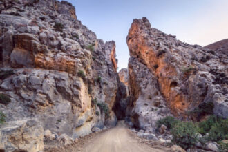 Megali Epicheirisi Sto Farangi Trypitis Sta Chania Gia Ton Entopismo 2 Germanon 768x433