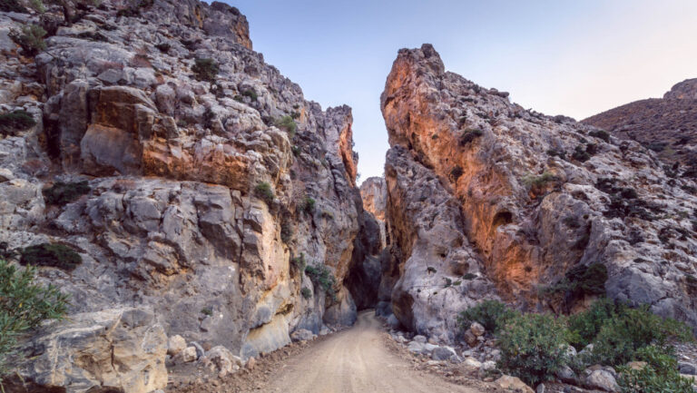 Megali Epicheirisi Sto Farangi Trypitis Sta Chania Gia Ton Entopismo 2 Germanon 768x433