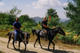 ΙΠΠΙΚΗ ΠΑΡΕΑ