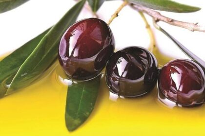 Olives Olive (1)