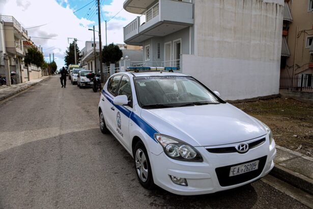 Peripoliko Elas