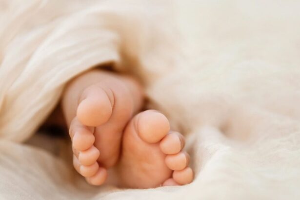 1f8951522bf509f0a40b893f81d60d4b