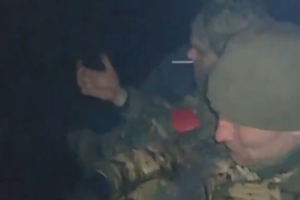 20752a15dd9d9501d5439deb3e1abd3e 1741527116893