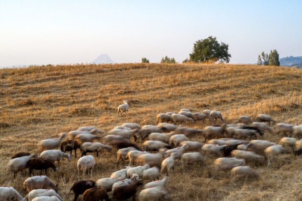 3adabc164d76e4a4ec25f5246bbfabcb 1741466328194