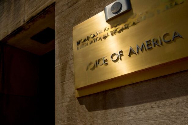 4aa4b5c5824a3a5fcd3eca96d7201824 no watermark