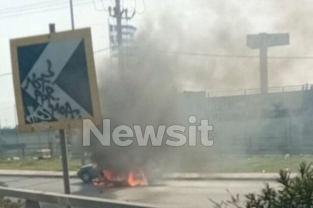 4b4cfe0e36dbcb573ad6239197c64527 1741705437499