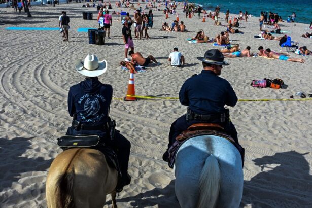 9d05d52a0080c45e3f3c5f3b7ca7303d