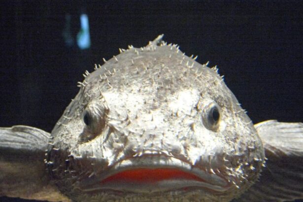 C85e3eed4ed2eed06a1e3ad485ee1e01