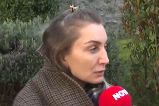 D1146e4e8b5b48804bb245c40bf217cf