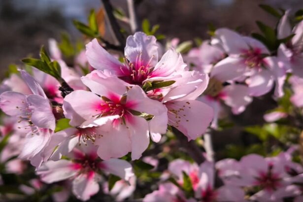 D60674f1c5a89f7be102effd0f10e549