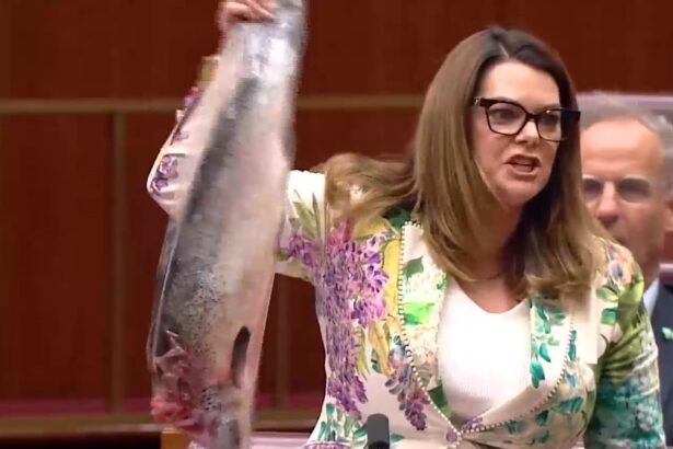 Ff35b1f18bcde61fb2ee585f6f5c5edc