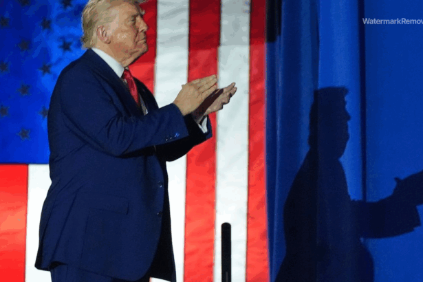 05a1f93fab1f017cafd6191ee02dea8c no watermark