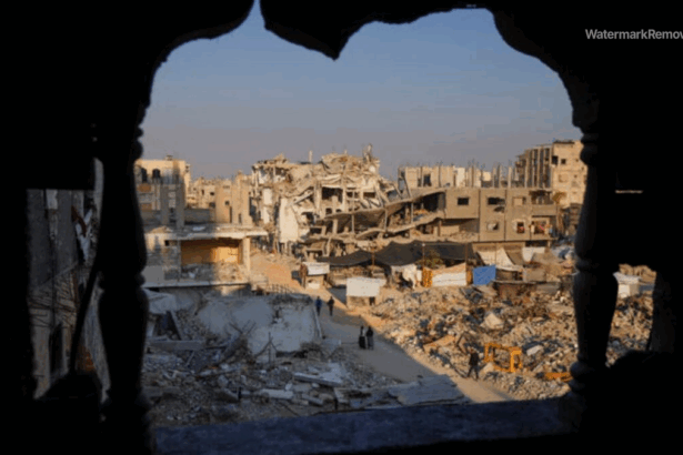 106c1fa90628e036115191de824eebea no watermark