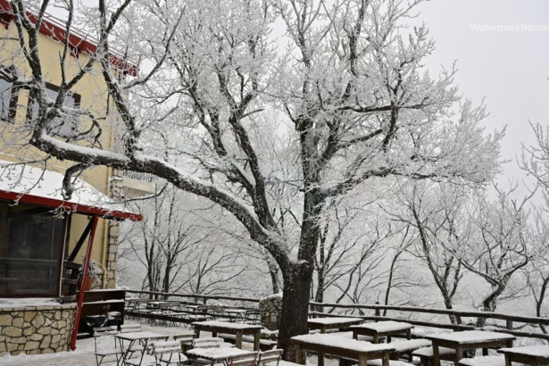 2552e4044bd64a232d73f823274b3ddd no watermark