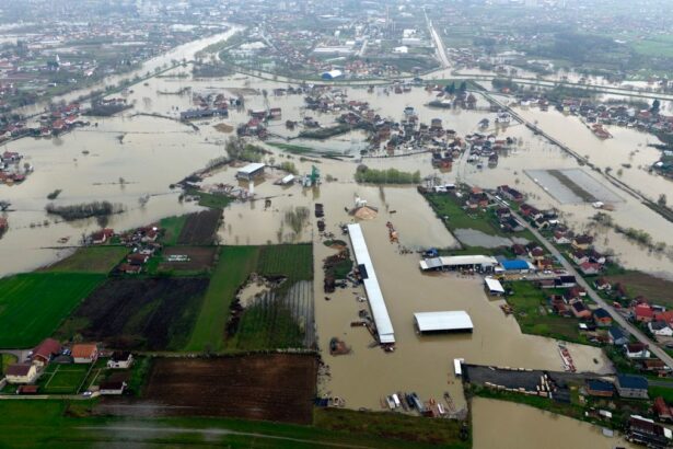 33e5b59e46c425e87f6b6fae3e31867e