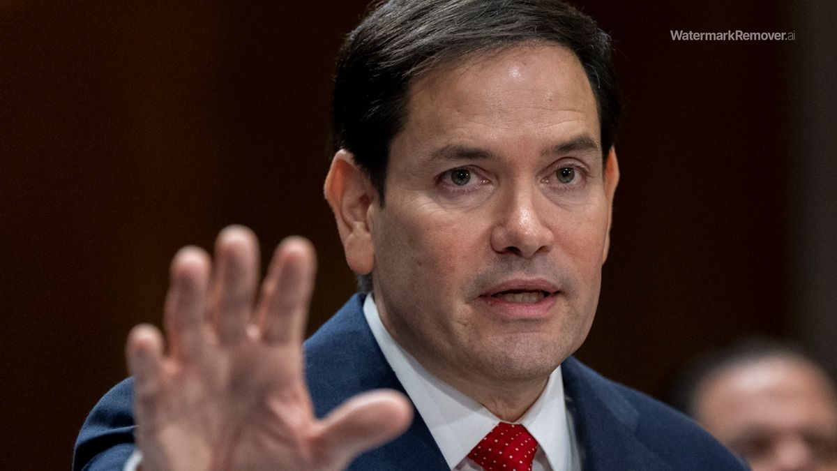 3ac3b9f69d04fe8c9c9b01ab7e33adac no watermark