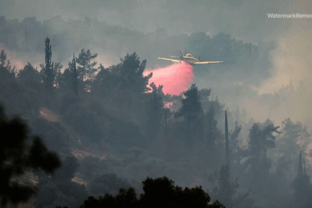 4a2e30b446cb74dabefb9c1776cd0c83 no watermark