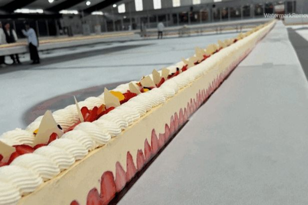 55351a97d077dfd9d67bc783edfdfc0a no watermark