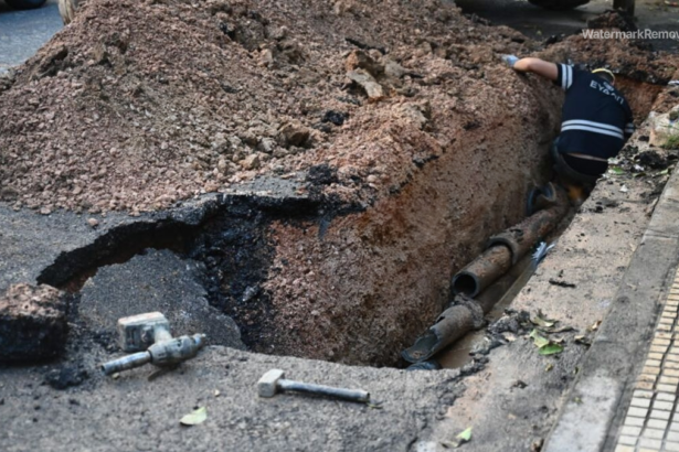 62d485cd52493f96810a0a8bf1b44f78 no watermark