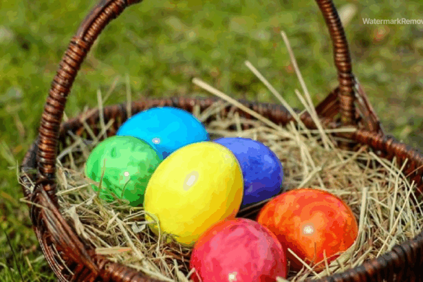 8386d436eebc202062f0aae165436831 no watermark