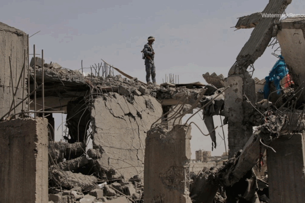 A8dd2ccf16c15cf6cec8a0240b578c64 no watermark