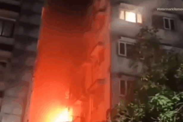 B4d63d3c94fb511baeae6f9b59874ce4 no watermark