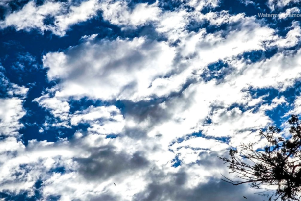 C6d3d32c4ca08497077031a3b539569a no watermark