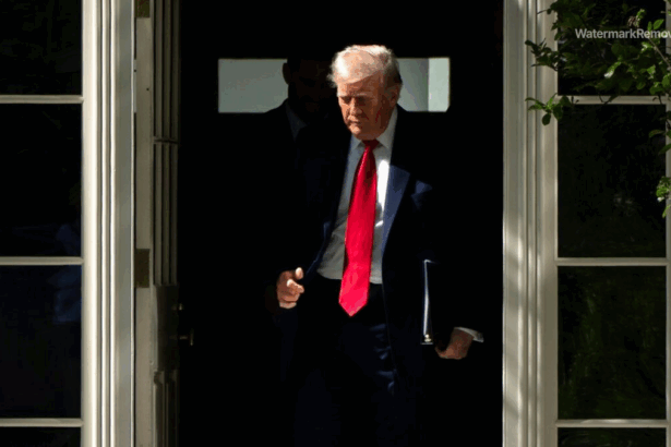 Dcd3f06d961a6051ce24a3bfa49cd9a0 no watermark