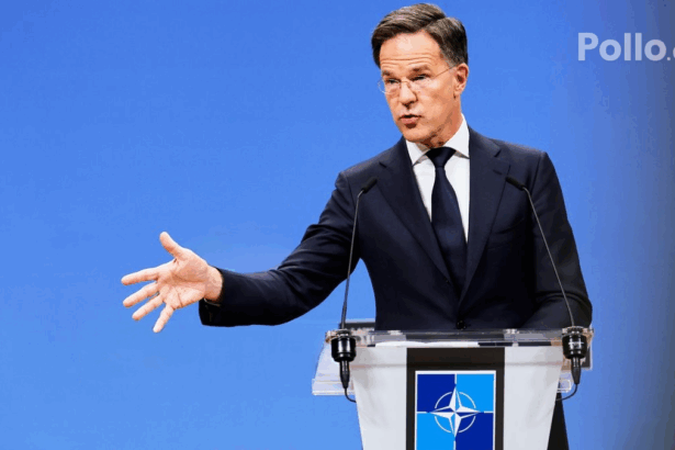 0706567a91ad2d8aba666f348d6d61a5 no watermark