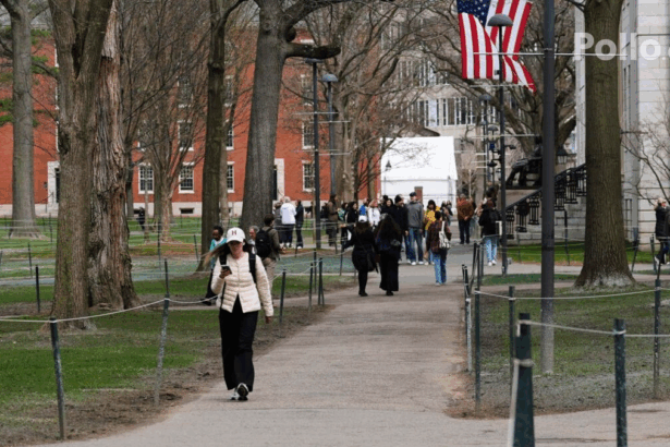 1adc6d3ad77767b832ccbad539df713d no watermark