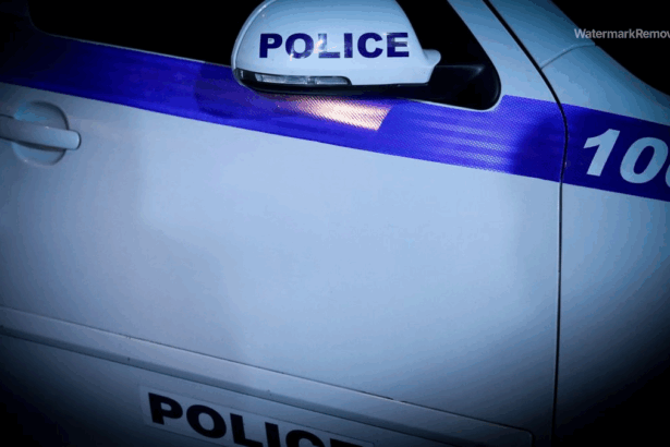 1ffac4313f50030666a2763cf5c2e872 no watermark