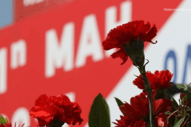 36124e878fe6e24275f6107cd46d52de no watermark