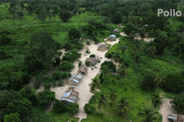 3d9ff9c805614835ef5fbe0cec9c2b9f no watermark