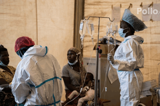 43d4c9e9fc61890a378c95208f0cc53c no watermark